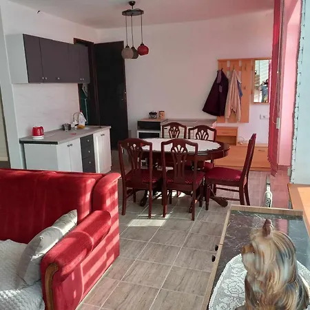 Apartment Sani