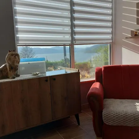 Sani * Donji Milanovac