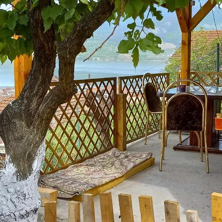 Sani Donji Milanovac