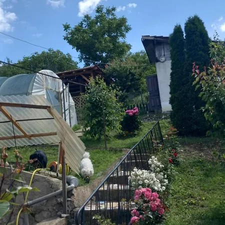 Sani Donji Milanovac