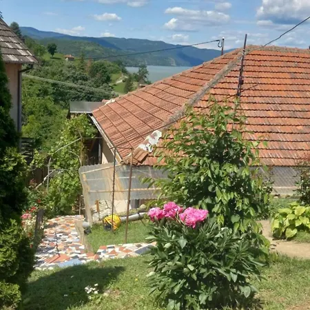 Apartment Sani *